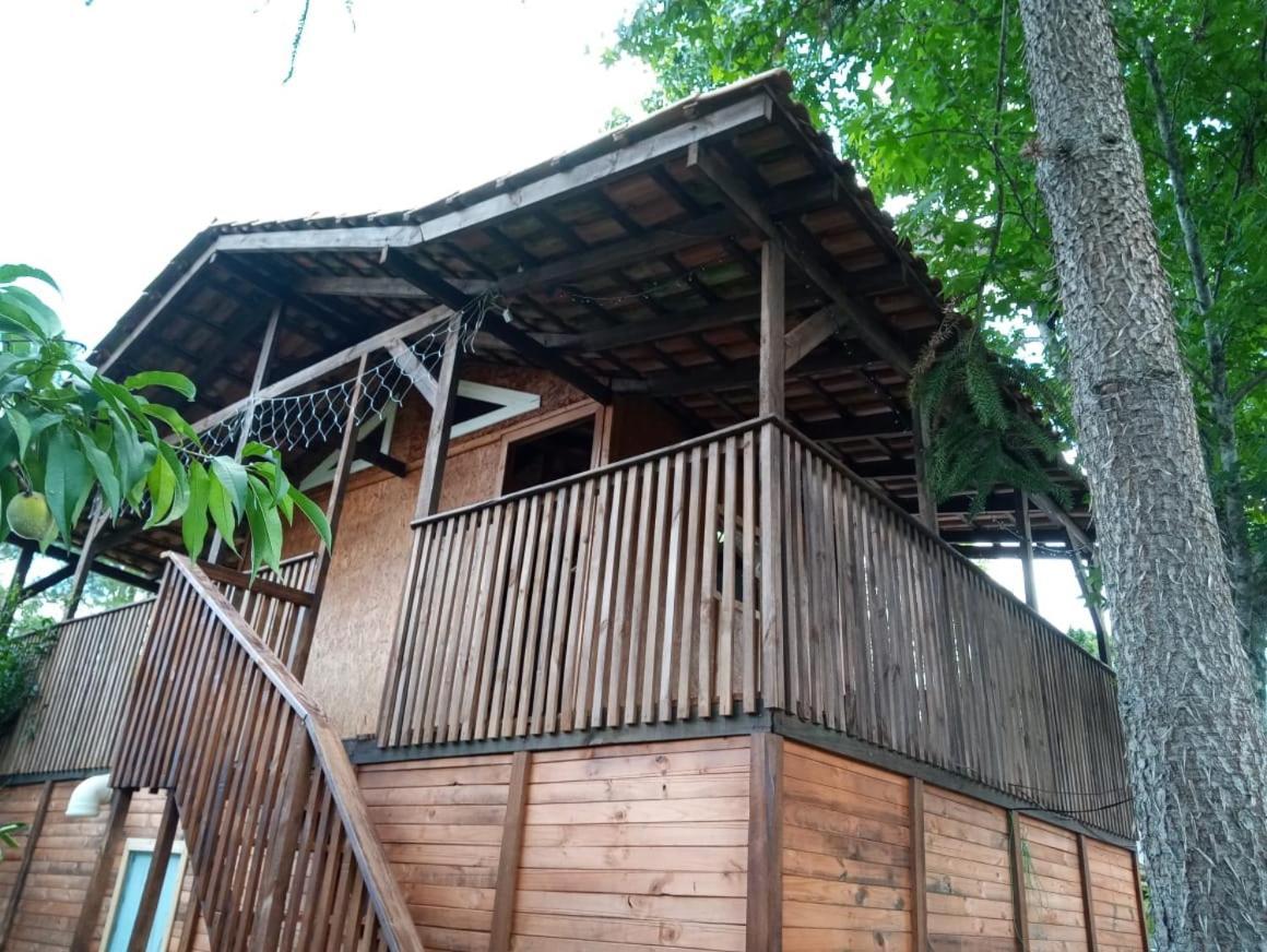 Mini House Park Hotel Campo Alegre  Buitenkant foto