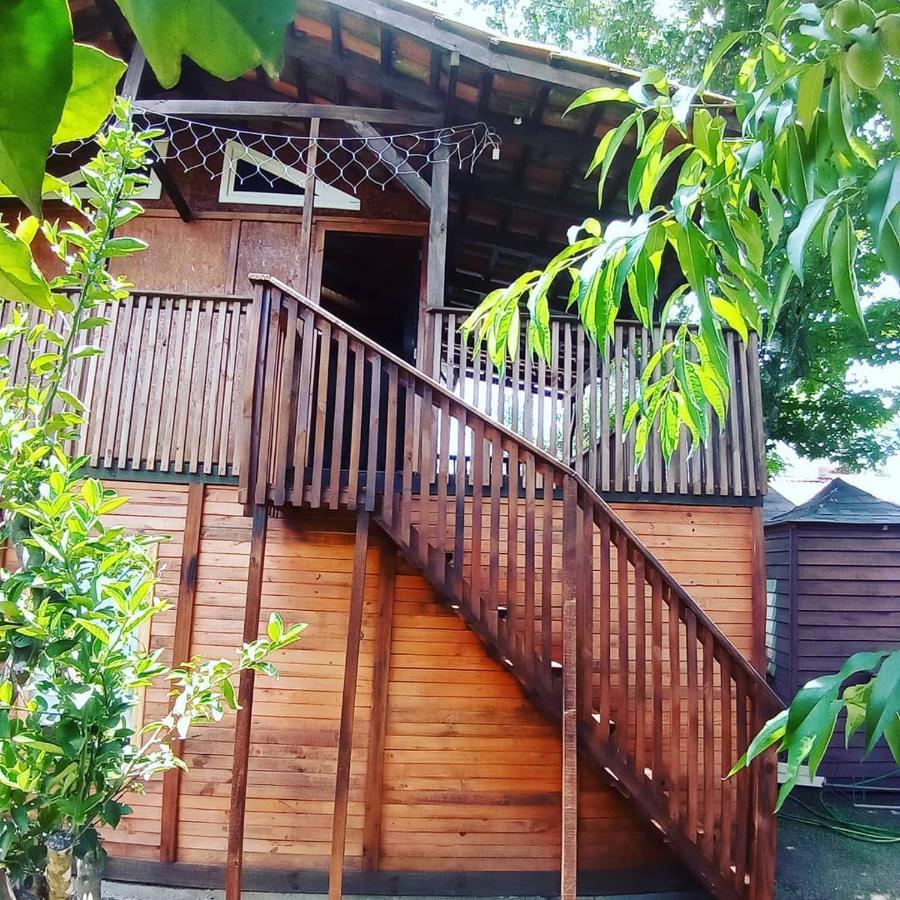 Mini House Park Hotel Campo Alegre  Buitenkant foto