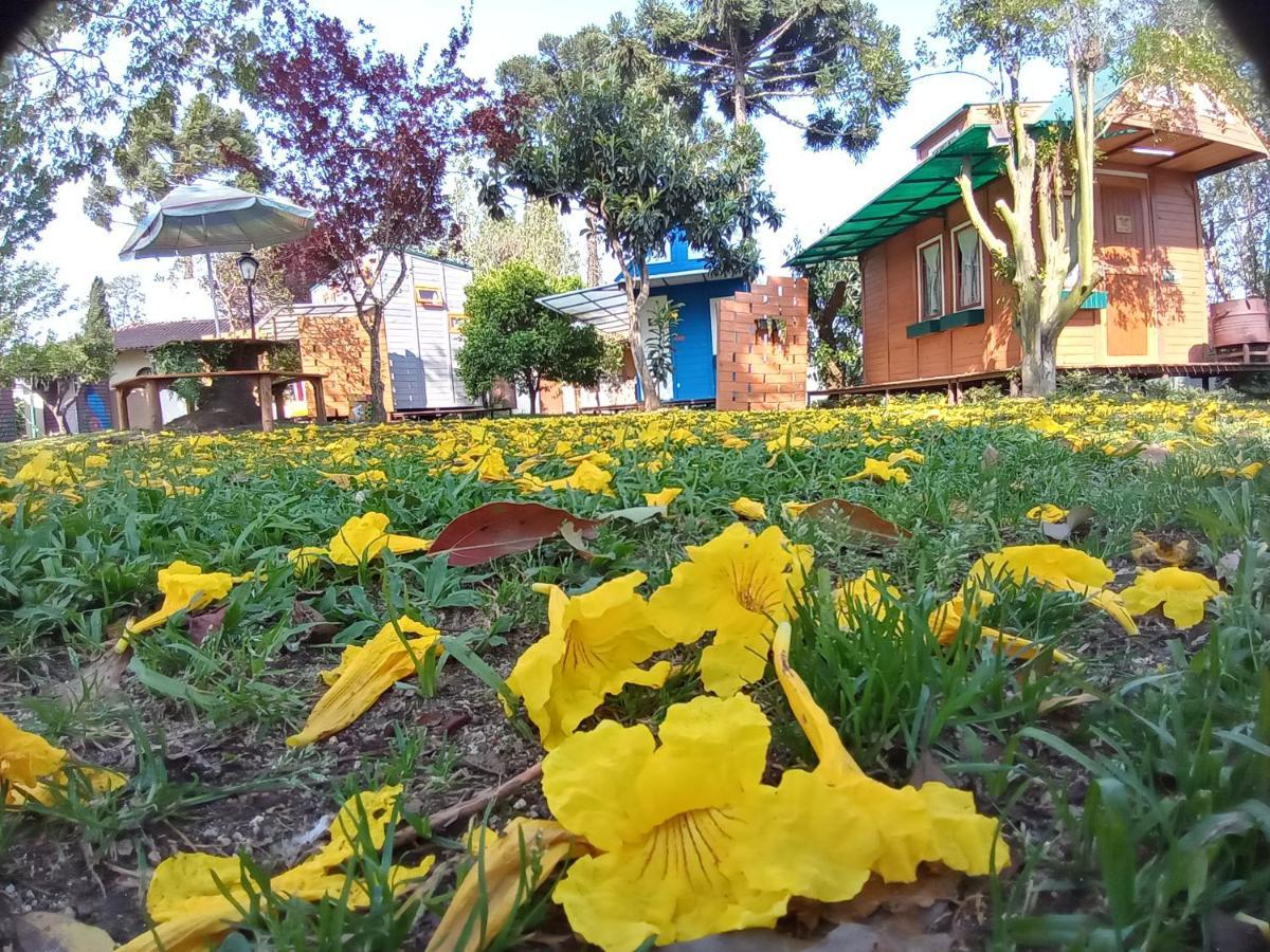 Mini House Park Hotel Campo Alegre  Buitenkant foto