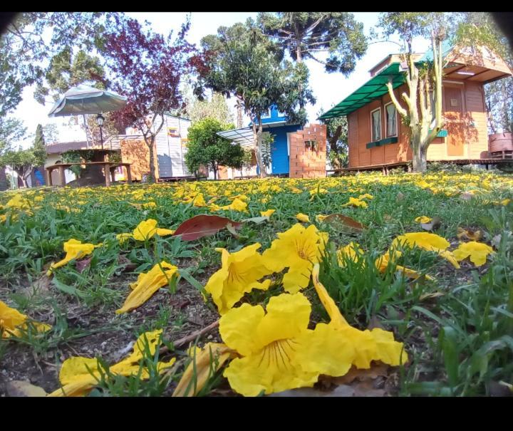Mini House Park Hotel Campo Alegre  Buitenkant foto